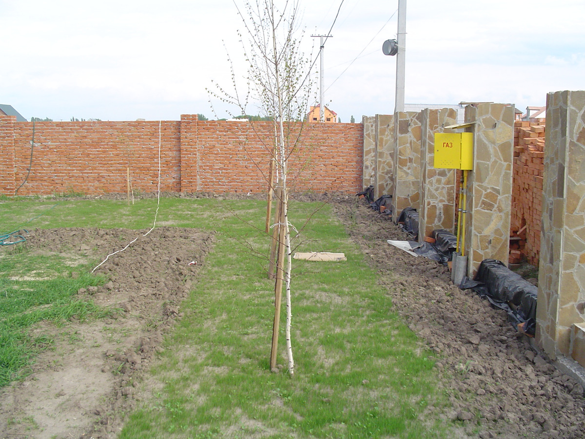 Fences and landscaping