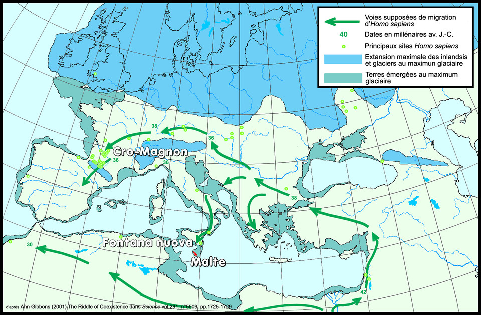 Ледниковый период, карта пересиления Homo