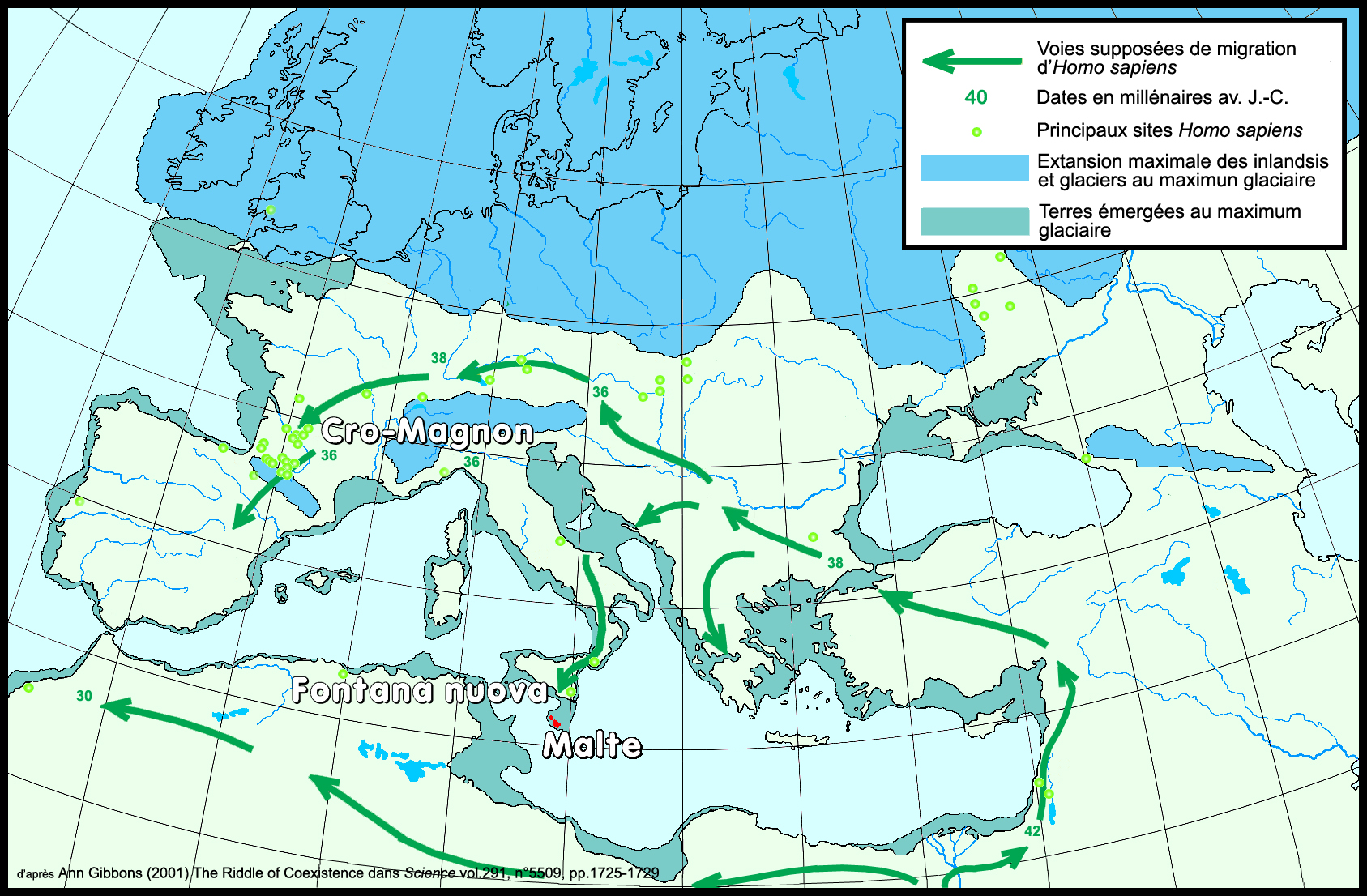 Ледниковый период, карта пересиления Homo