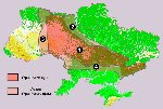 Украинский щит