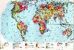 Карта магматических пород мира